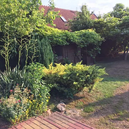 Elysium Денешдиаш