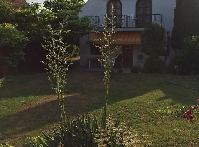 Elysium 3* 根尼斯迪亚斯