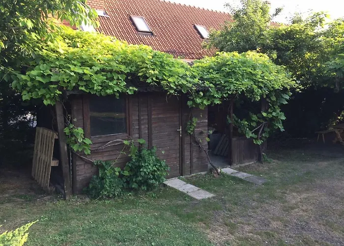 招待所 Elysium 根尼斯迪亚斯