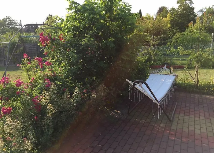 Elysium 根尼斯迪亚斯