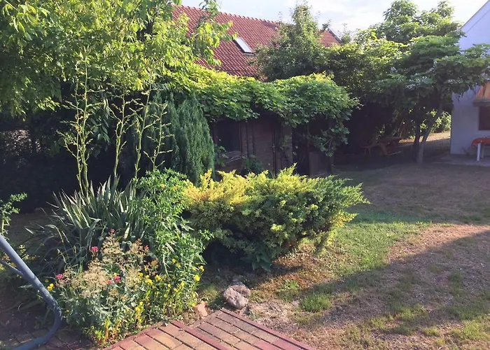 Elysium 根尼斯迪亚斯